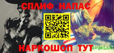МДПВ Рыбинск
